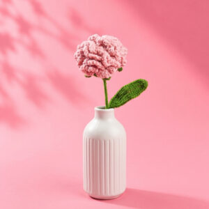 Carnation