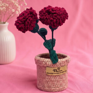 Red flower pot